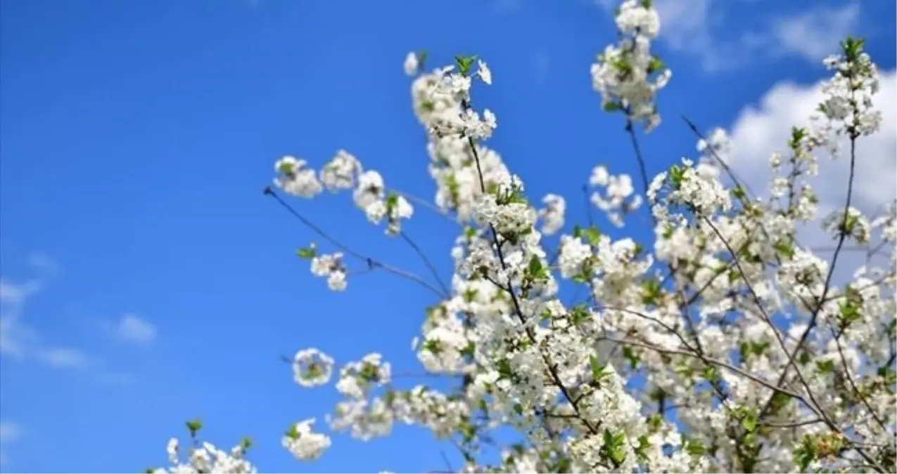 Cemre ne zaman düşecek?