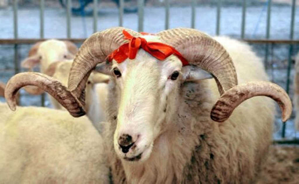 Borcu Olan Bir Kişi Kurban Kesebilir mi?