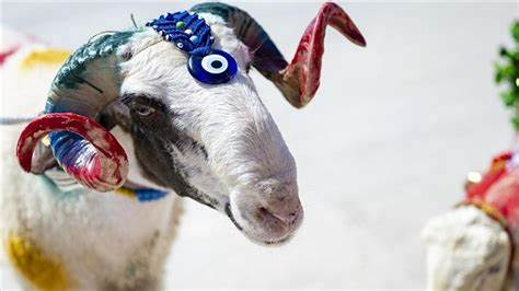 Gece Kurban Kesilir mi?